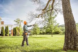 Best Lawn Renovation and Restoration  in Columbiana, AL