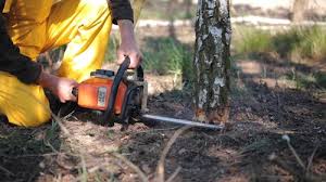 Best Lawn Irrigation Installation and Maintenance  in Columbiana, AL