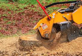 Best Landscape Design and Installation  in Columbiana, AL