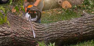 Best Lawn Mowing  in Columbiana, AL
