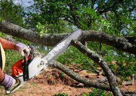 Best Tree Risk Assessment  in Columbiana, AL