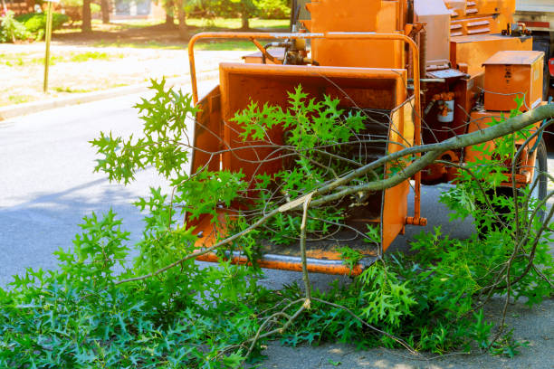 Best Tree Disease Treatment  in Columbiana, AL