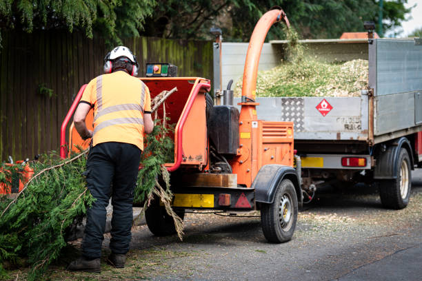 Best Tree Trimming and Pruning  in Columbiana, AL