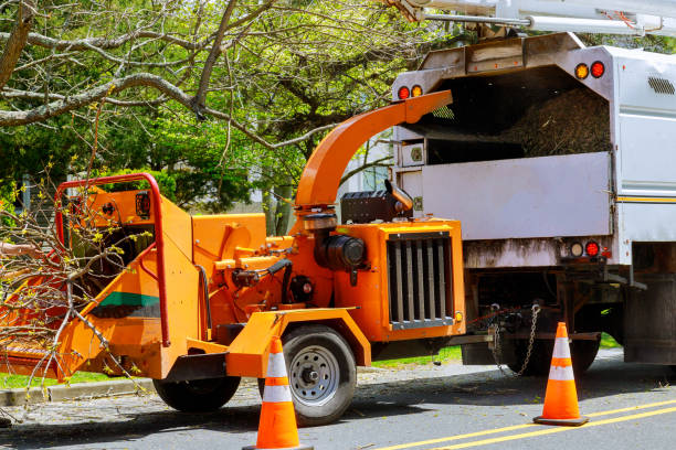 How Our Tree Care Process Works  in  Columbiana, AL