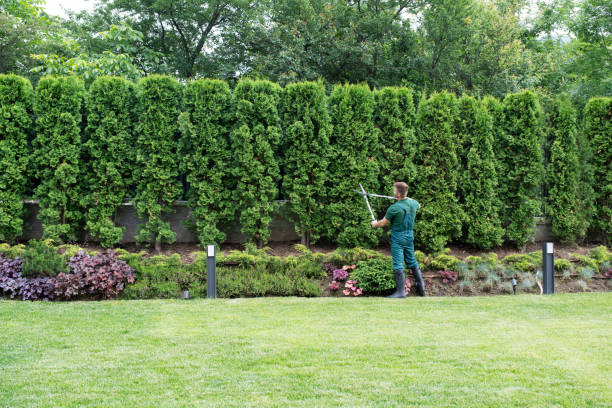  Columbiana, AL Tree Services Pros