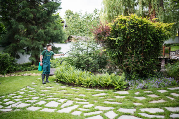 Lawn Renovation and Restoration in Columbiana, AL