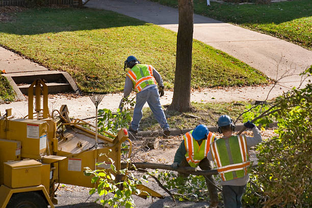 Best Tree Preservation Services  in Columbiana, AL