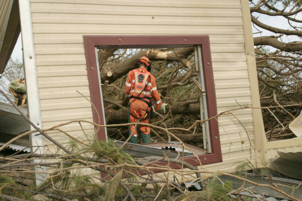 Columbiana, AL Tree Services Company