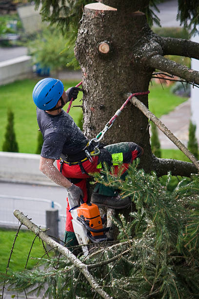 Best Pest Control for Lawns  in Columbiana, AL